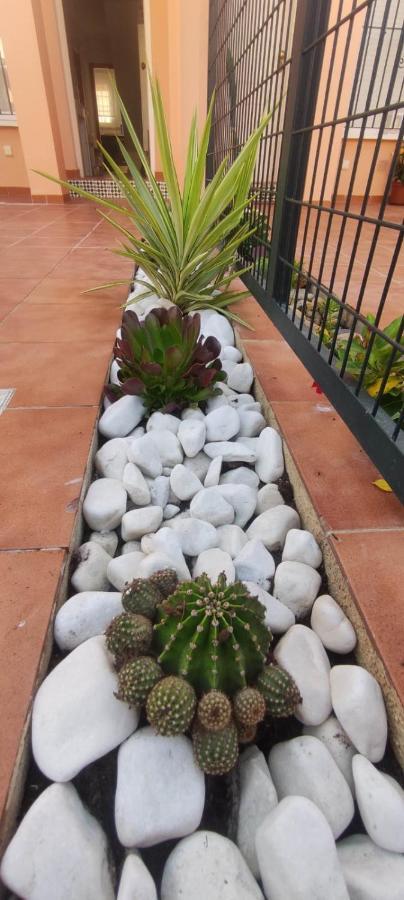 Villa Terreros San Juan de los Terreros エクステリア 写真